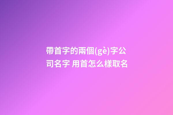 帶首字的兩個(gè)字公司名字 用首怎么樣取名-第1張-公司起名-玄機(jī)派